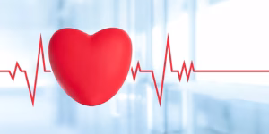 Prevención y salud en el trabajo